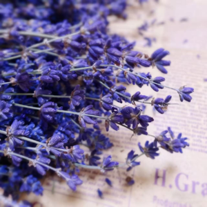 悦纳自己，你就是最棒的！