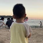 锦旭