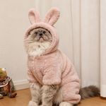 寻找缺失的残片