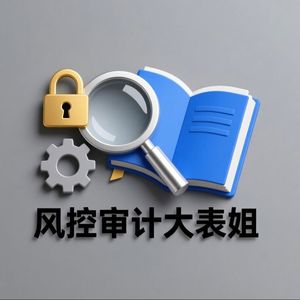 风控审计大表姐