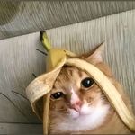 持續降落