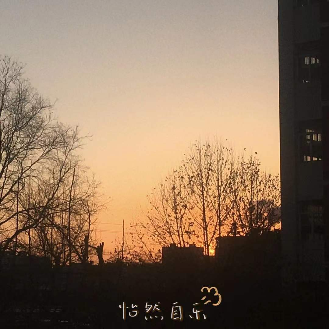 005|考研不过梦一场!
