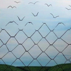  004 对话晓凡倾听主理人姚兰｜我很刚强，我也很脆弱