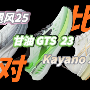 三大国际顶级稳定支撑系跑鞋对比