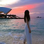 阿辰夹夹辰