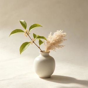 致20—25岁的建议