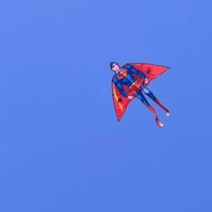 引言｜给二十多岁，依然笨拙成长的我们