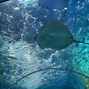 陈仁宇的睡前阅读2