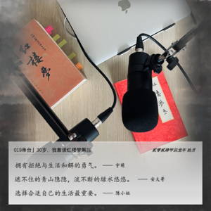 019」群聊|30岁,我靠红楼梦解压