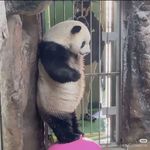 min记宇心