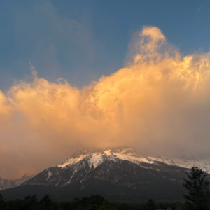 VOL.3 | 小孩子才做选择，成年人只能当牛做马！