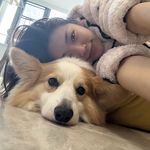 Laylawinwin