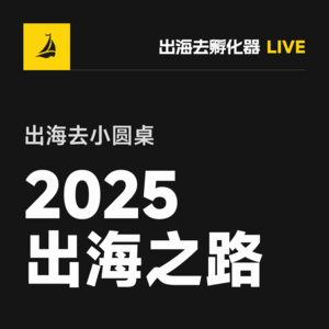 出海去 EP43 | 出海去小圆桌 2025 出海之路