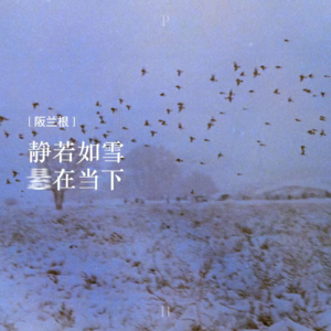 静若如雪,悬在当下-纯享阪兰根#02 By兰斯