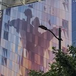 老片、新片齐绽放！！！ - 28届上海国际电影节复盘（三）：其他单元电影推荐