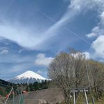 緒雨