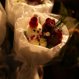 No.7 Christmas丨平安夜乘雪橇,与流星于天边漫游