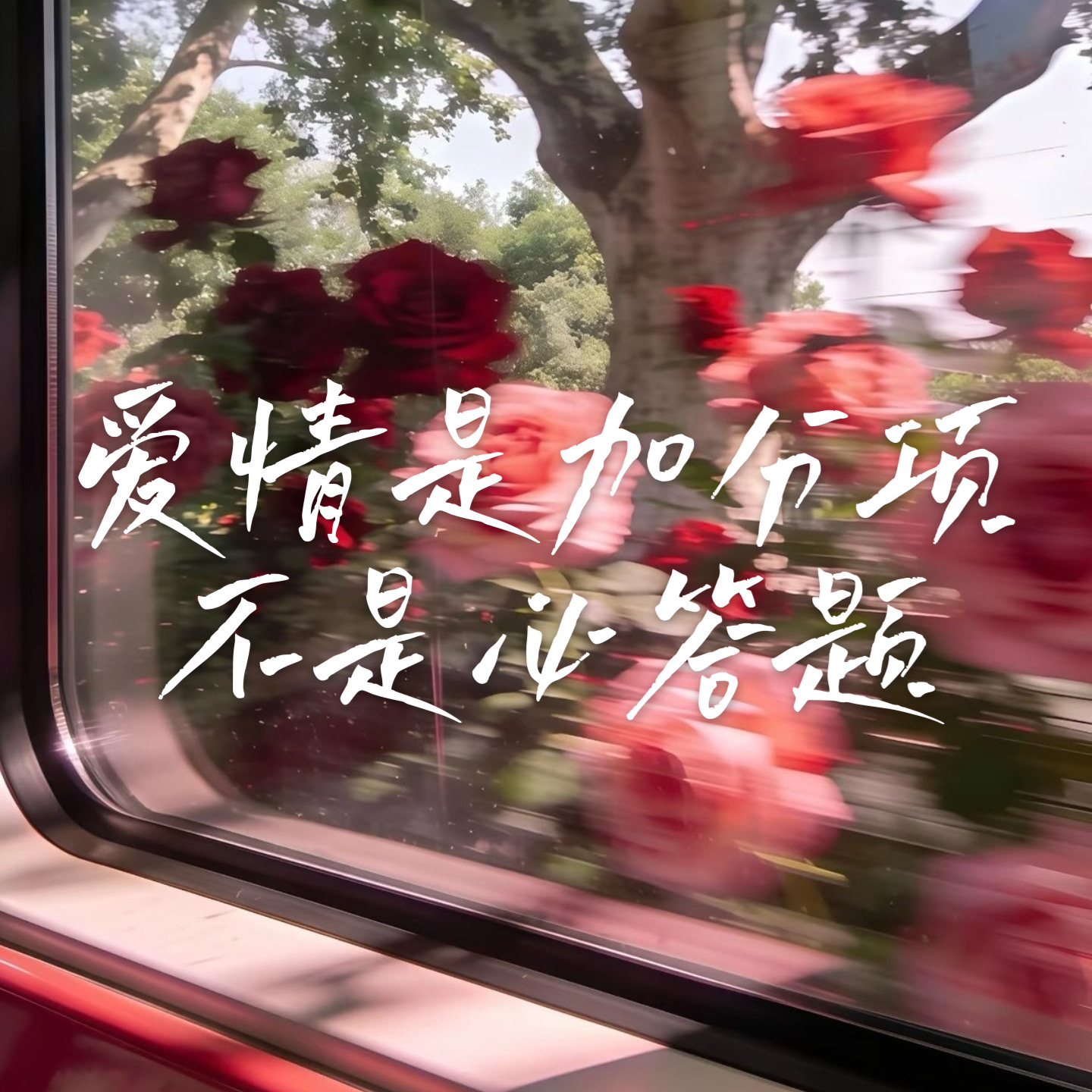 21 情关之后，尽是自由 | 你的价值，无需“被爱”来证明 episode artwork