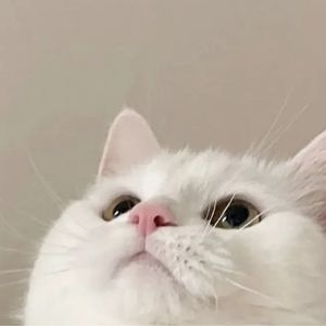 这里是雷老师