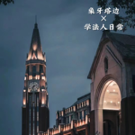 03.爆料既遂：在法庭上演证人，看的是逻辑还是演技？