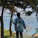 思思来也