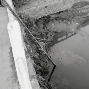 72.景区湖面红衣浮尸，夺命的“仿真”交易