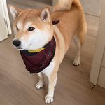 Pwwwwwwww