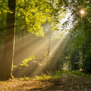 （全英）六个随着年龄逐渐爱上的生活小事