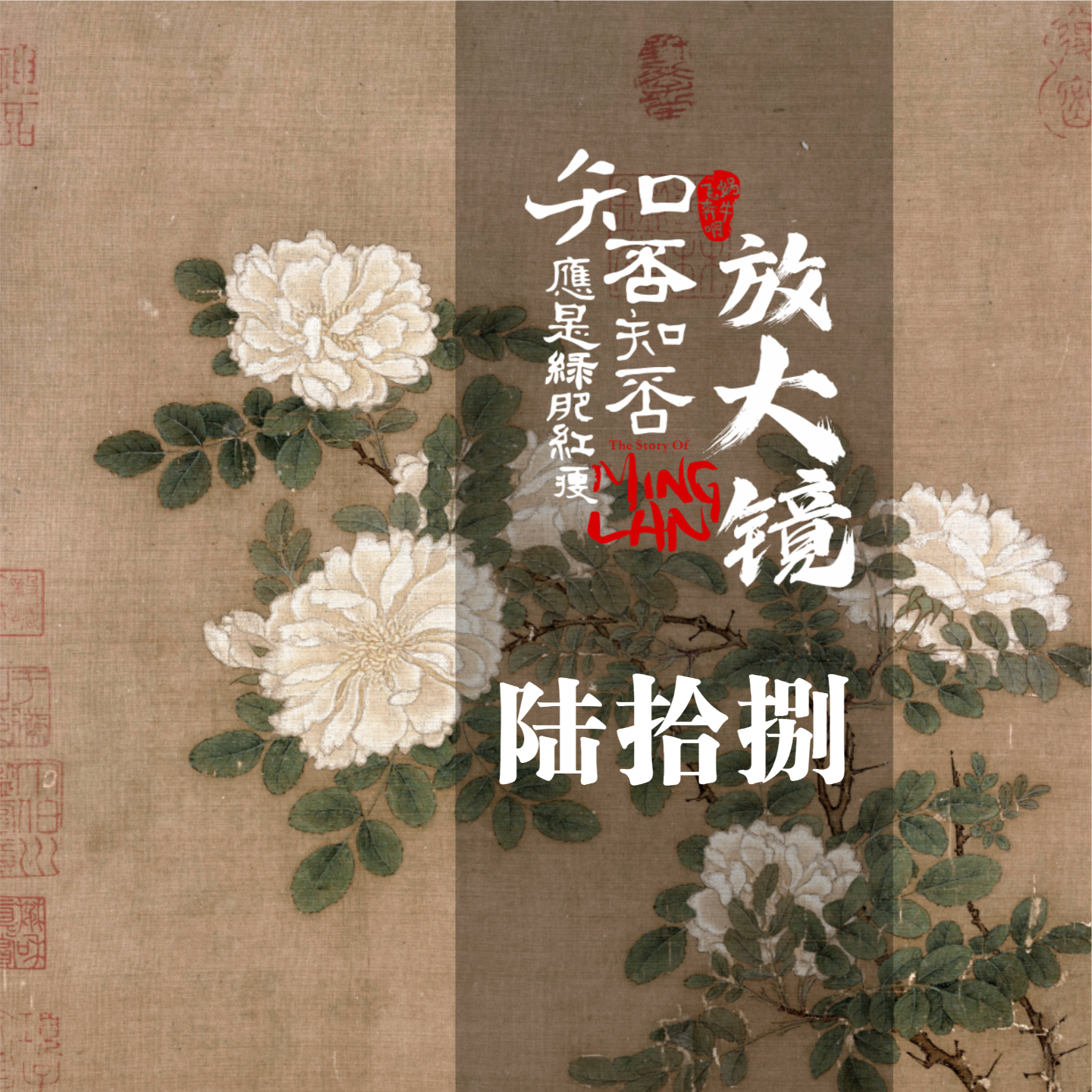 知否放大镜68：明兰和顾二真的是先婚后爱吗 episode artwork
