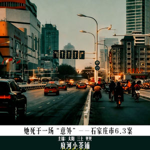 她死于一场“意外”——石家庄市6.3案