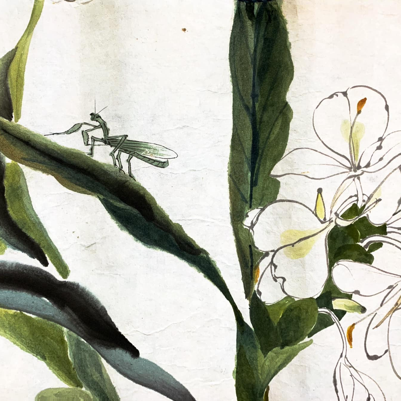 卷不动的时候，就起来舒展一下 episode artwork