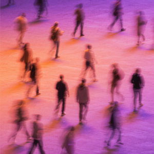 当世界不再可预测，中产靠什么做判断？