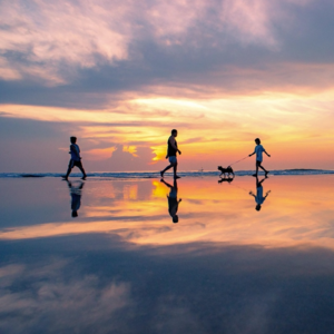 EP88 量化投资因子库