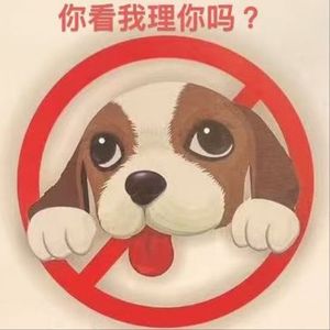 大宝市场总监