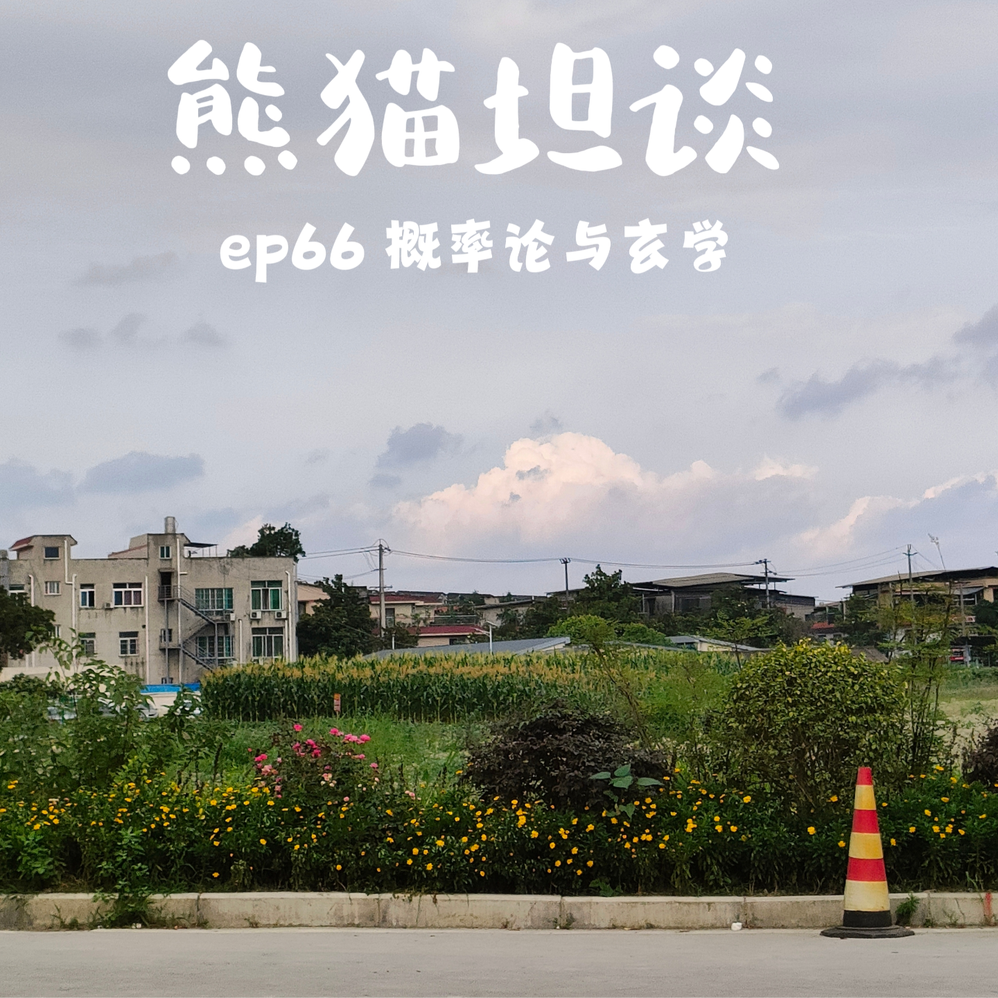 cover of episode 66.运气“否极”一定会“泰来”吗？用「概率论」聊「玄学」这事儿