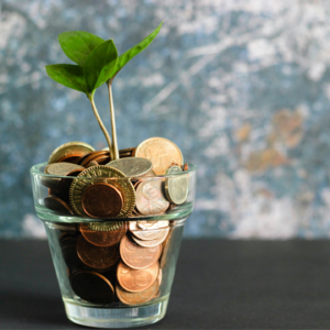 Vol.8 十月上：开源节流，不是缩小人生，而是扩展自由