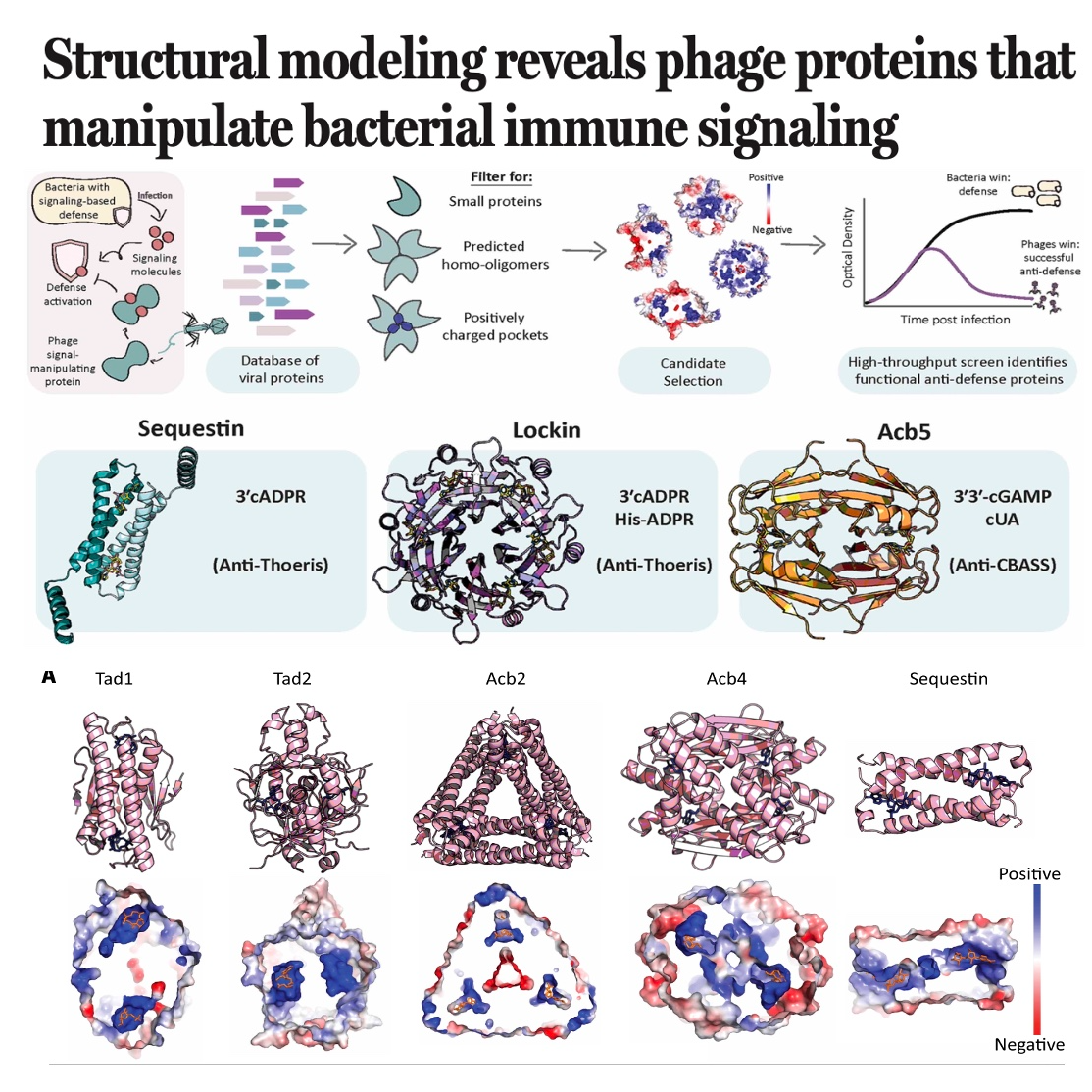 693-Structure-Guided Discovery of Viral Sponges 693-Structure-Guided Discovery of Viral Sponges