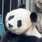 103区优秀市民