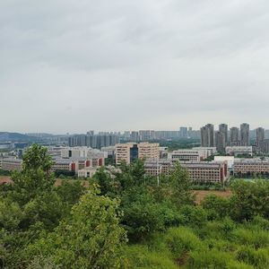 VOL. 043 如果你也在经历“付出很多却看不到结果”的时刻 | 读博的获得与失去