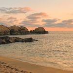 温柔多金徐少文