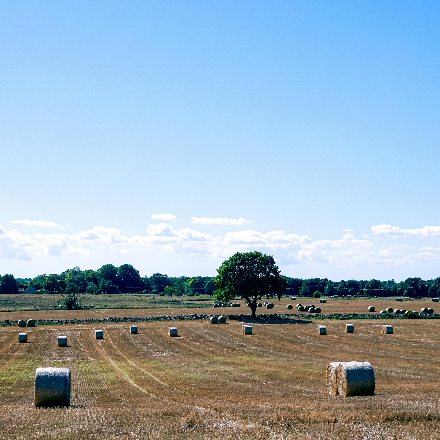 EP118丨聊聊运势的吉凶与人生的品味