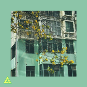 Album