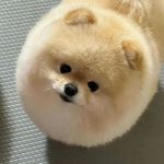 gnotnix