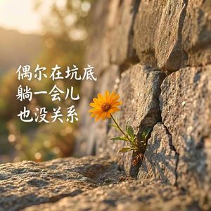 上不了岸的奥德赛:迷茫低谷该怎么熬?vol.008