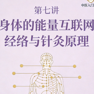 第七讲：身体的能量互联网——经络与针灸原理