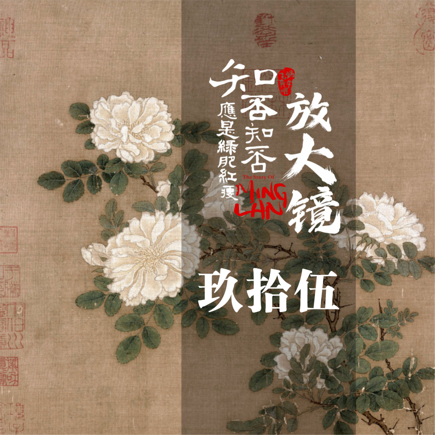 知否放大镜95： 桂芬的困境与破局 episode artwork