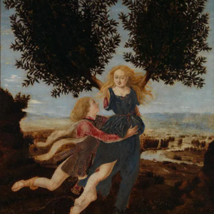 【睡前故事】16 阿波罗与月桂树