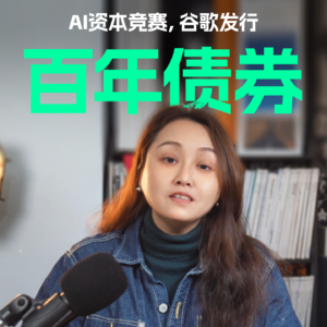 AI资本竞赛，谷歌发行百年债券