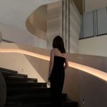 不吃香菇的嘟嘟