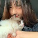 Promise_mLPa